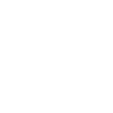 lawyer